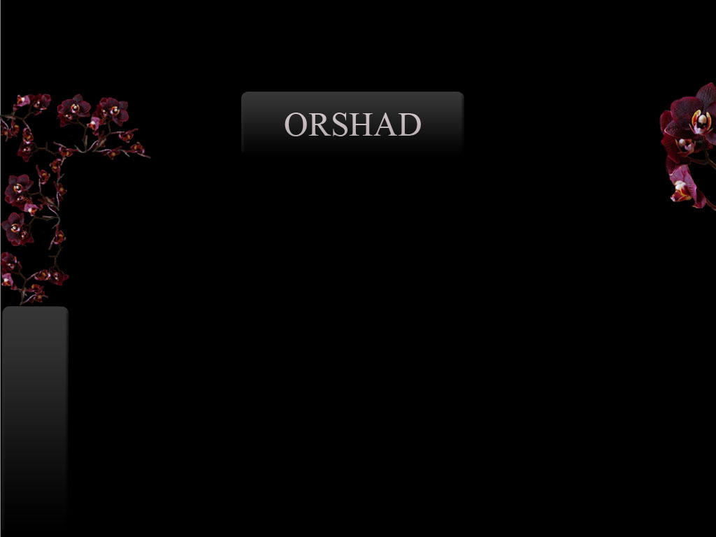 myspace_layout copy.jpg